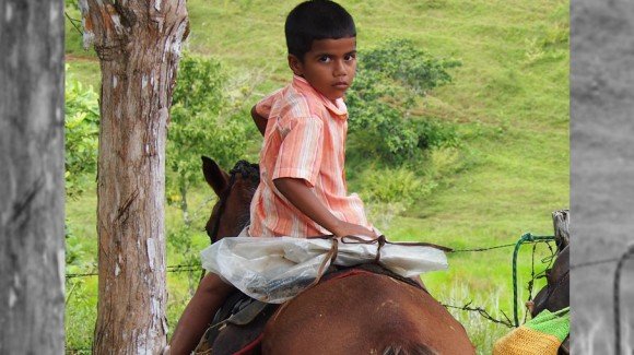 Por qué los niños del campo dejan los estudios?